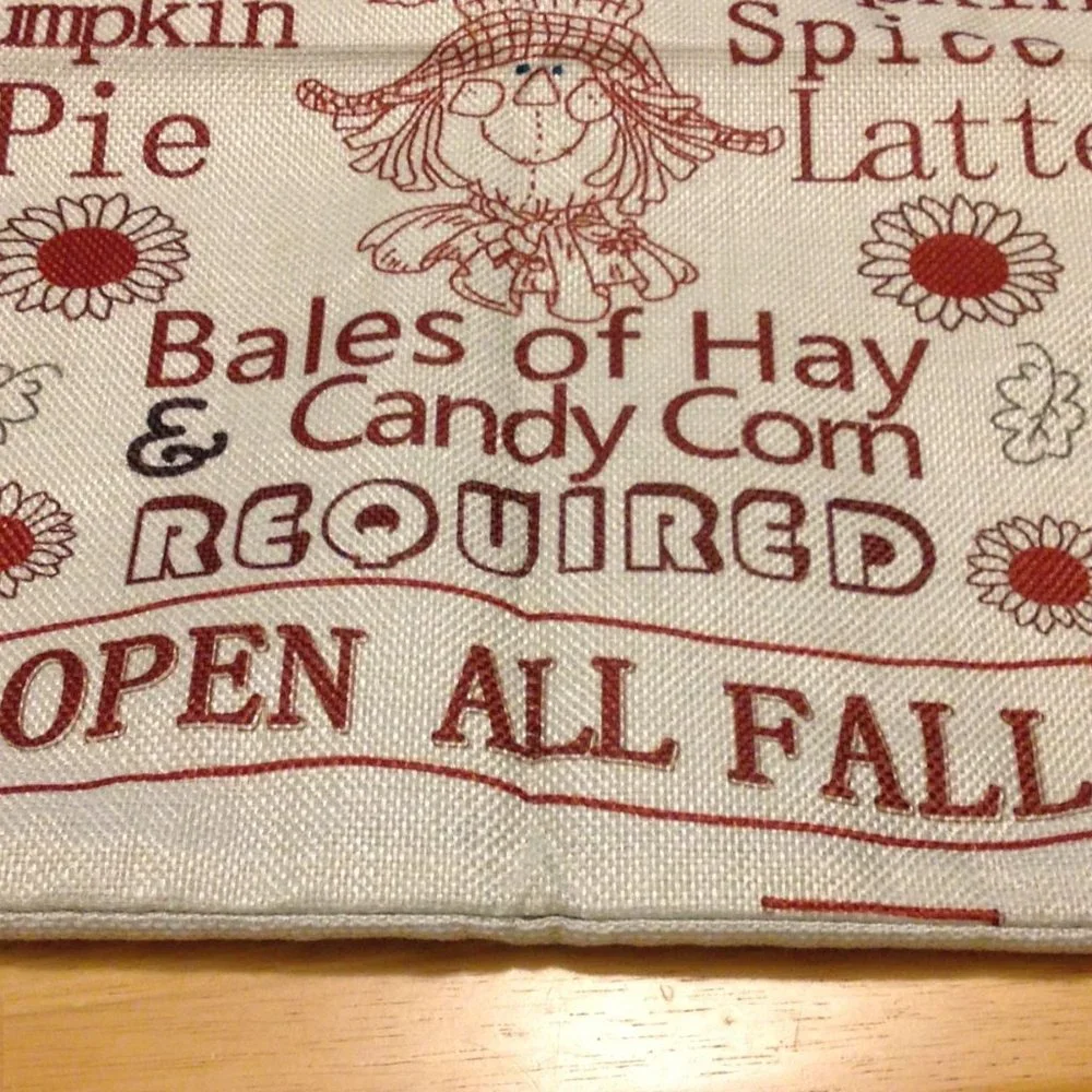Fall Pillow cover, nwot for Halloween, Autumn Decor, Thanksgiving